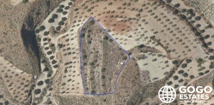 Idyllic Land for Sale in Albanchez Countryside