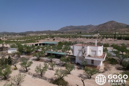 Ruime Villa Te Koop in Lucar met Uitgestrekt Perceel en Zwembad