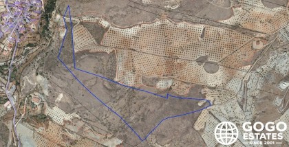 Expansive Rustic Land for Sale Near Oria, Almeria