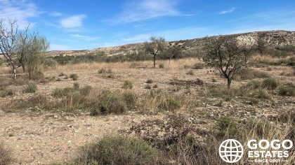 Amplio Terreno en Venta Cerca de Albox