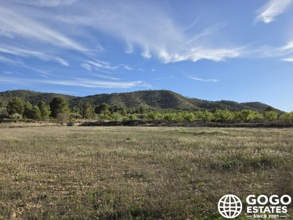 Finca Zu Verkaufen Nahe Monóvar – 8.802 m² Landwirtschaftliches Grundstück