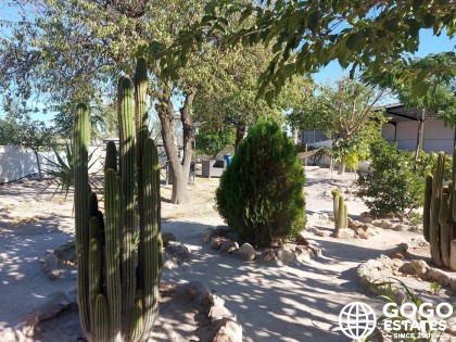 Business Property with Extensive Land Near Baza